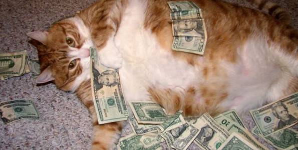 fat-cat-dollars.jpg?w=830
